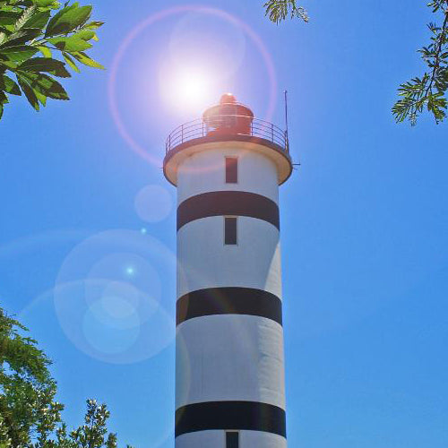 The Energetic Session (with Phyllis being present energetically in the 4th dimension)