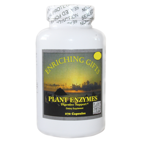 PLANT ENZYMES DIGESTIVE MAINTENANCE SUPPORT